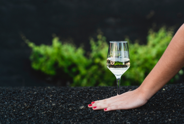 Lanzarote volcanic wines